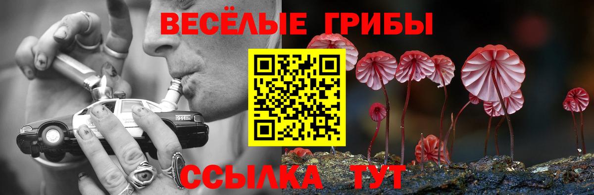 Брянск  Галлюциногенные грибы мухоморы  Вход с VPN 